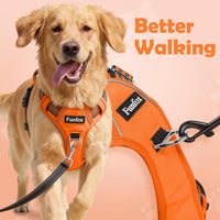 Funfox Dog Harness Medium Sized Dog - Orange / Small - image 3