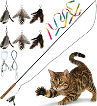 Forever Stick Unbreakable Cat Wand Toy, Durable Feather Teaser – Essentials for Cats - Forever Stick and Extra Toys and Strings