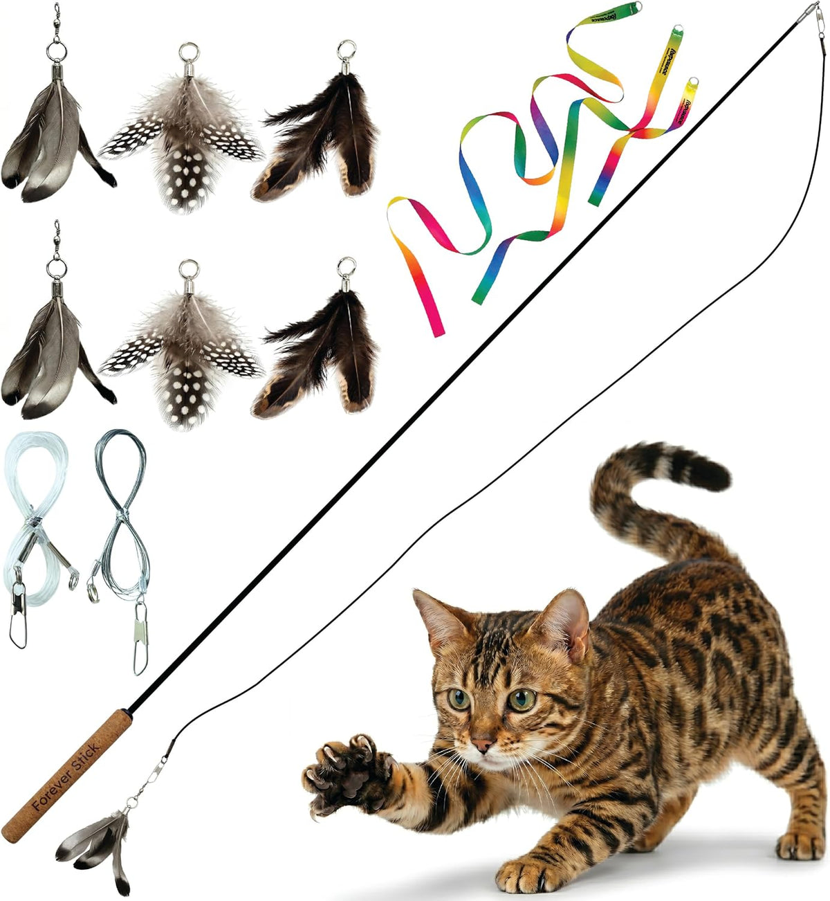Forever Stick Unbreakable Cat Wand Toy, Durable Feather Teaser – Essentials for Cats - Forever Stick and Extra Toys and Strings