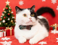 Collar for Cat Pet Breakaway with Bell Bowtie Detachable Bow - Christmas-A - image 2