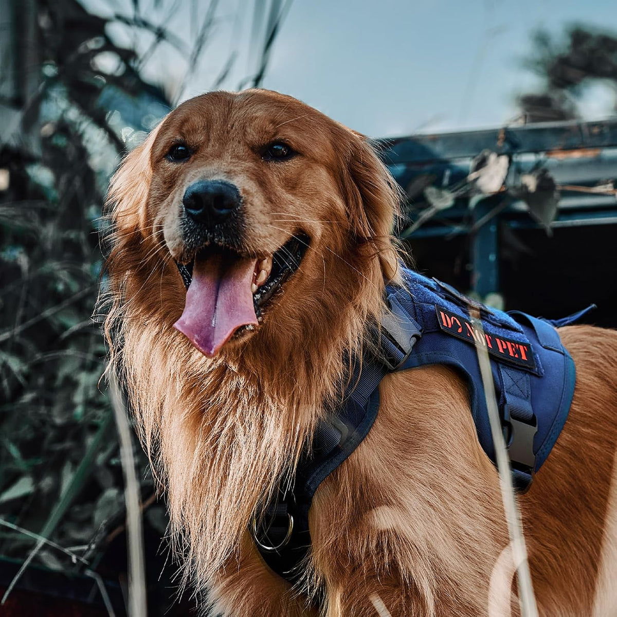 OneTigris Tactical Dog Harness No-Pull Service Vest for Medium Large - X-Large / Blue - image 3