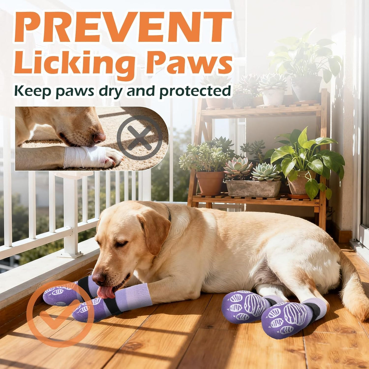 Anti Slip Dog Socks to Prevent Licking Paws with Grippers Black – Essentials for Dogs - Purple / X-Small - image 4