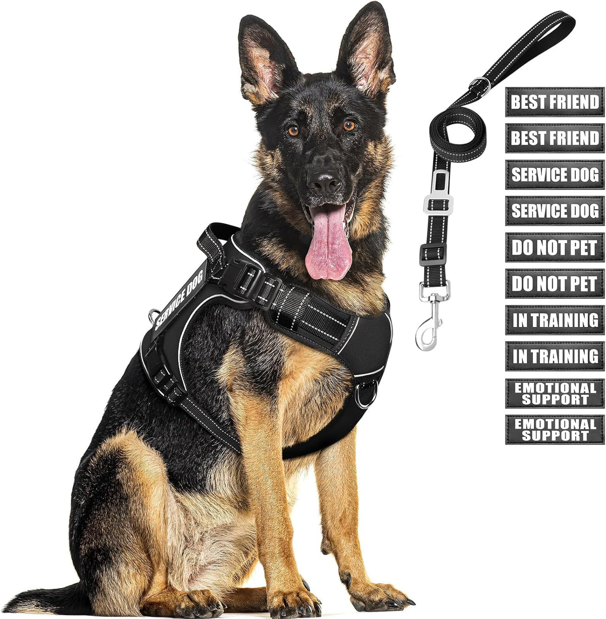 Tactical Dog Harness and Leash Set with 10 Patches for Large Dogs – Essentials for Dogs - X-Large / Black