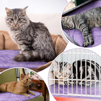 4 Pack Self Heating Cat Pad Self Warming Dog Mat - 16 x 20 Inch / Purple - image 3