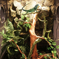 kathson 3 PCS Reptile Vines Plants Flexible Bendable Jungle Climbing - 1 / 3 PCS - image 3