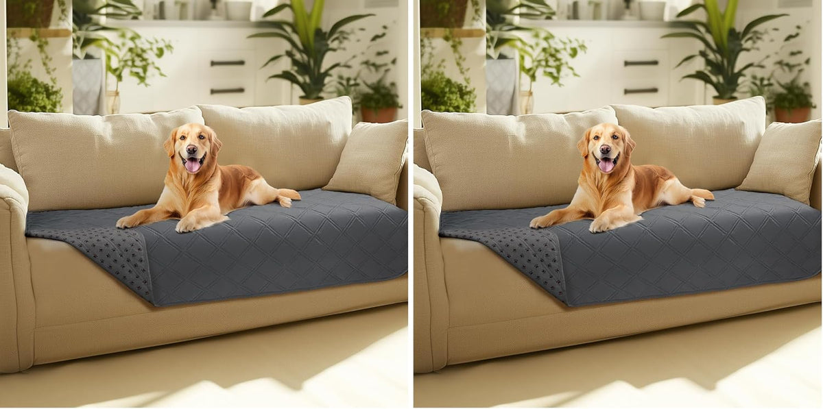 Luciphia Waterproof Couch Cover for Dogs - Grey / 30" x 70" (Pack of 2)