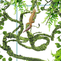 QUOZUO Bearded Dragon Tank Accessories - image 3