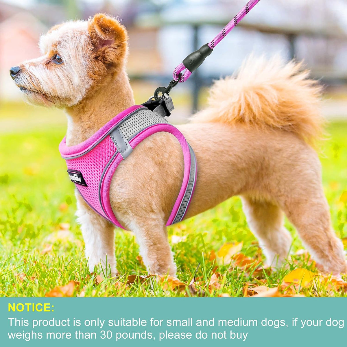 haapaw Dog Harness with Leash Set - M / Grey / Pink - image 3