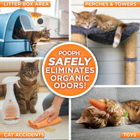 POOPH Litterizer Cat Litter Odor Eliminator Additive - 1 Count (Pack of 2) - image 3