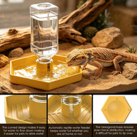 Reptile Water Dispenser Bowl for Bearded Dragon Tortoise – Essentials for Reptiles And Amphibians - Yellow / L - image 4