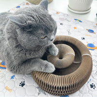 Magic Accordion Cat Scratching Board - Interactive Toy for Bored Indoor Cats, Fun & Durable Cat Toys 2Pack