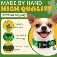 Elegant little tail Dog Collar - Trefoil / Small (Pack of 1) - image 2