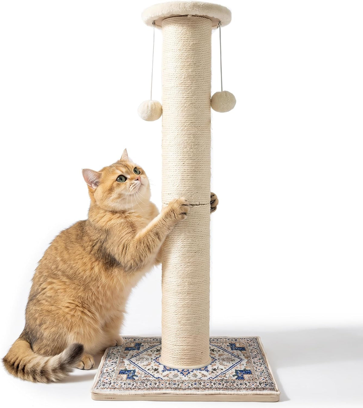 Tall Cat Scratching Post for Indoor Cats Adults with Carpet - White / Small（Round）