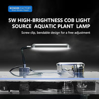 Small Aquarium Starter Kit, 2.6 Gallon Glass Betta Fish Tank with Heater Self Cleaning System Efficiency Filter Bright Light Rocks Gravel Cleaning Tool Set, Leak-Proof Ultra-Clear Rimless Desktop Tank