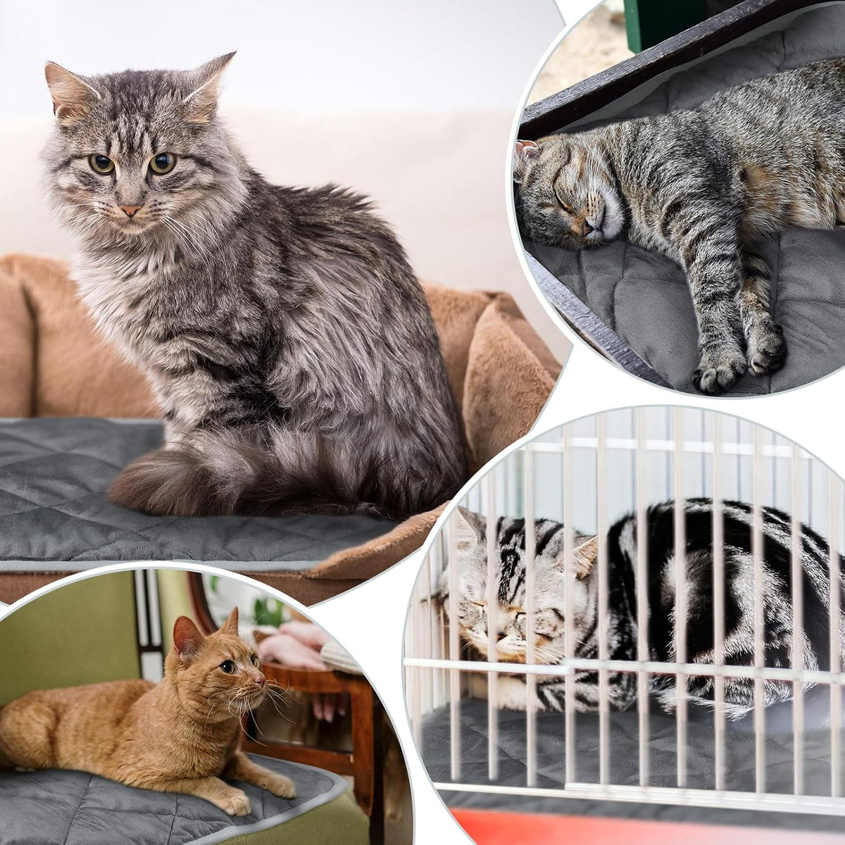 4 Pack Self Heating Cat Pad Self Warming Dog Mat - 18 x 24 Inch / Gray - image 3