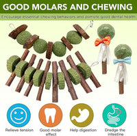 3 Pcs Bunny Chew Toys with 3 Pcs Rabbit Chew Lollipop for Teeth Grinding, Improve Dental Health, Treats for Rabbits Guinea Pigs Chinchillas Bunnies Hamsters