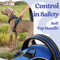 rabbitgoo Dog Harness for Large - Blue / Large - image 4