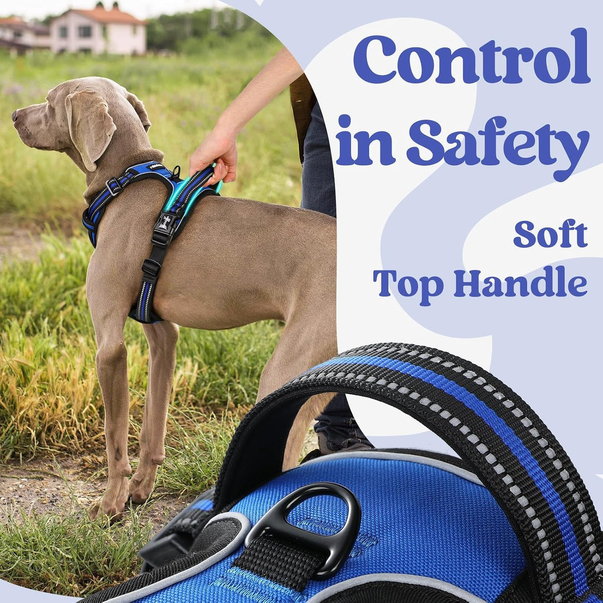 rabbitgoo Dog Harness for Large - Blue / Large - image 4