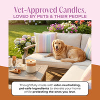 Nostalgia Pet-Friendly Scented Candle - Sundae Snuggles - 8oz / Sundae Snuggles - image 2
