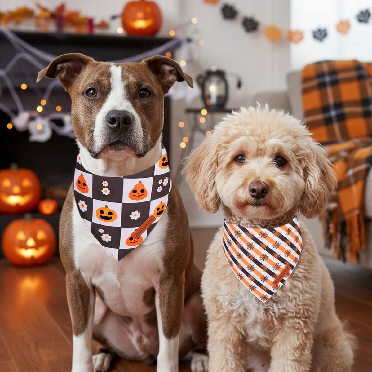 ADOGGYGO Pink Halloween Dog Bandanas Girl - Large / Halloween Checker - image 2