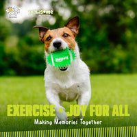 Gnawsome 4.5" Spiky Squeak & Light Football for Dogs, Durable - 4.5" (Pack of 2) - image 3