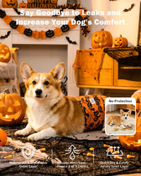 CuteBone Dog Belly Bands for Male Dogs Wraps Washable Doggie Diapers - Trick-or-Treat Trio / M(14"-17") - image 2