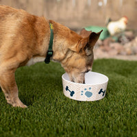 Loving Pets Dolce Moderno Dog Bowl - Small / Yum Chevron - image 4