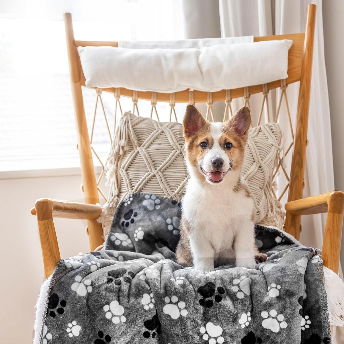 Waterproof Dog Blanket 60x50 Inches - Grey-paw / Small (25x30)