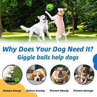 Dog Toys Ball, Interactive, M - Classic / M 3.46 in (8.8 cm) - image 4