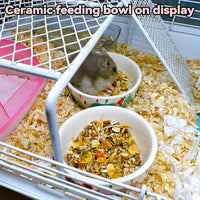 2 Pack Ceramic Guinea Pig Food Bowl Hamster Food Bowls for Gerbil Rat – Essentials for Small Pets - Purple + Blue - image 4