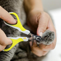 Mr. Pen- Cat Nail Clipper, Lime Green, Cat Nail Trimmer, Cat Nail Clippers, Cat Claw Clippers, Cat Clippers for Nails, Pet Nail Clippers, Kitten Nail Clipper, Small Dog Nail Clipper Cat Claw Trimmer
