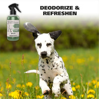 Wahl USA Pet Deodorant Spray for Dogs - Eucalyptus Spearmint - image 2