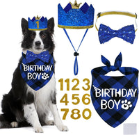 STMK Dog Birthday Party Supplies - X-Large / Blue
