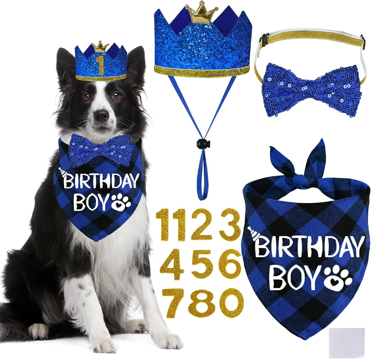 STMK Dog Birthday Party Supplies - X-Large / Blue