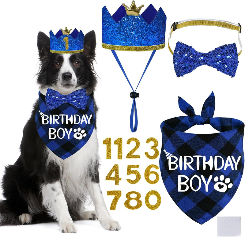 STMK Dog Birthday Party Supplies - X-Large / Blue