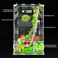 Jumping Spider Enclosure, DIY Insects Habitat - Luminous mushrooms - image 2