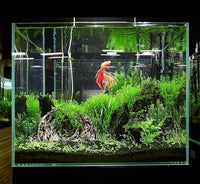 Novelsite Fish Tank Decor- Jagged Canyon Rock Formation ，Made of Solid Sandstone，Suitable for a Variety of Fish Tank Scenes, DIY Planting Moss, Safe and Non-Toxic