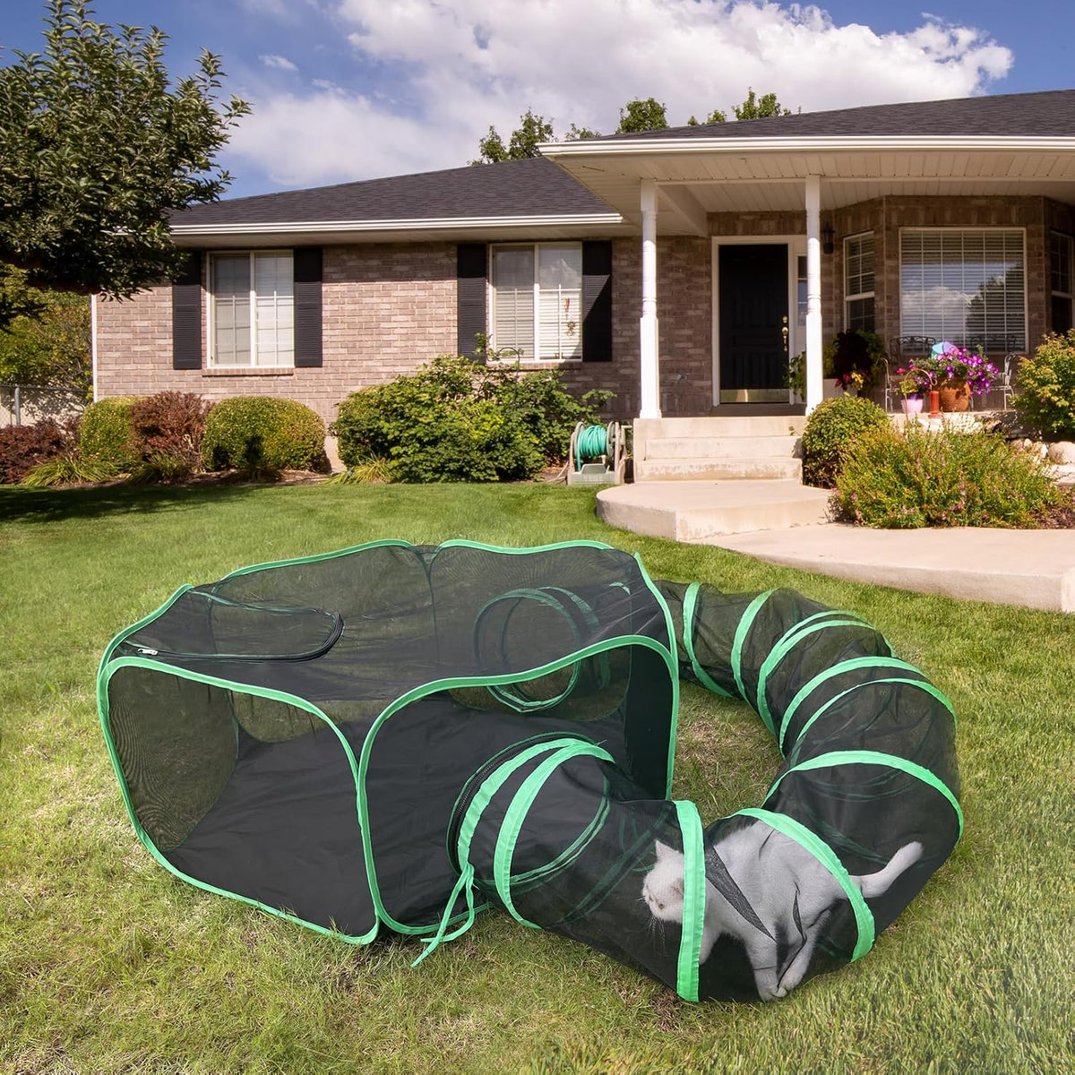 2-in-1 Cat Tent & Enclosure Outdoor