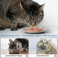 Stainless Steel Cat Bowls, Nonslip Cat Food Dishes or Plates – Essentials for Cats - Silver-2 Pack - image 2