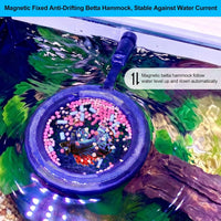 2pcs Wood Fish Feeding Ring for Aquarium，Floating Betta Hammock - Solid Black / 1pcs big magnetic version - image 4