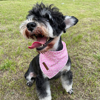 Summer Dog Bandana, UP URARA PUP Strawberry Triangle Bid Scarf for Medium Large Dogs, Cotton - Daisy / S - image 4