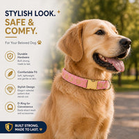 Cat Collar with Bell for Kittens & Cats, Moon & Stars Design – Essentials for Cats - Coral Pink Collar / Large (Pack of 1) - image 2