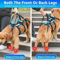 Dog Lift Harness for Large Male Dogs, 2-in-1, Back Leg Support & Mobility Assistance for Senior Dogs, Post-Surgery Recovery Sling(Black, Large)