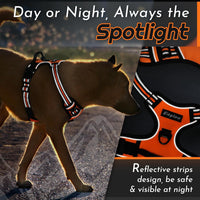 Eagloo Dog Harness for Large Dogs - Large / Orange - image 4