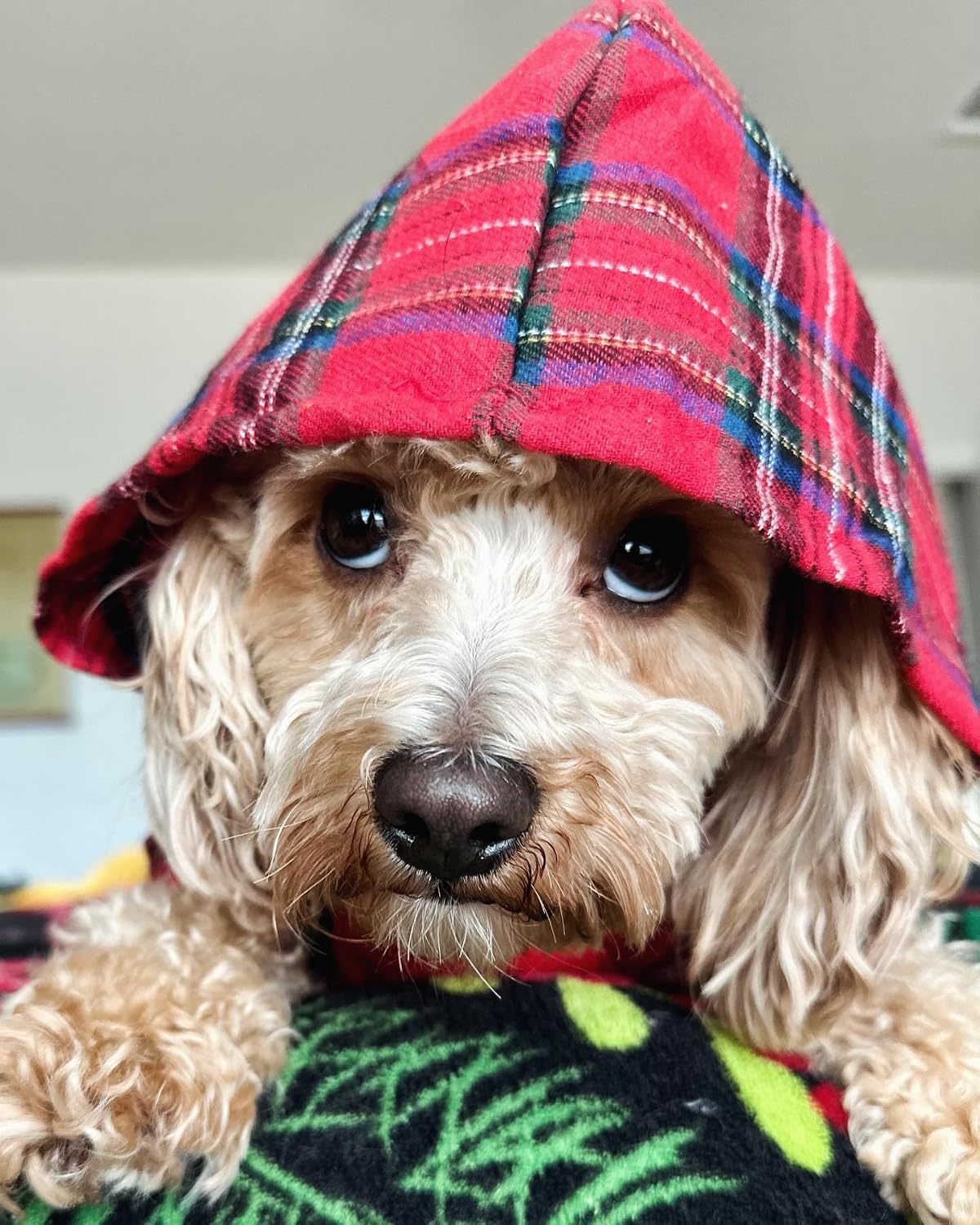 Fitwarm Tartan Plaid Dog Hoodie - Medium / Tartan - image 2
