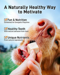 Freeze Dried Chicken Cats & Dogs Treats, 1.1lb(17.63 OZ), Single Ingredient, High Protein, No Additives, Grain Free, Training & Nutrition Supplements, Sealed Box
