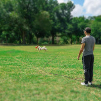 Reflective Cat Long Leash 15 FT - 50 FT / Black - image 4