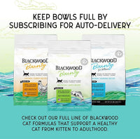 Blackwood Bounty Dry Cat Food, Whitefish & Lentil Recipe for All Life Stages, 4.5 Pound Bag, High Protein, Grain Free