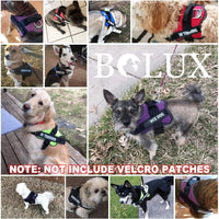 Bolux Dog Harness, No-Pull Reflective Dog Vest - X-Small (Pack of 1) / Pink - image 3