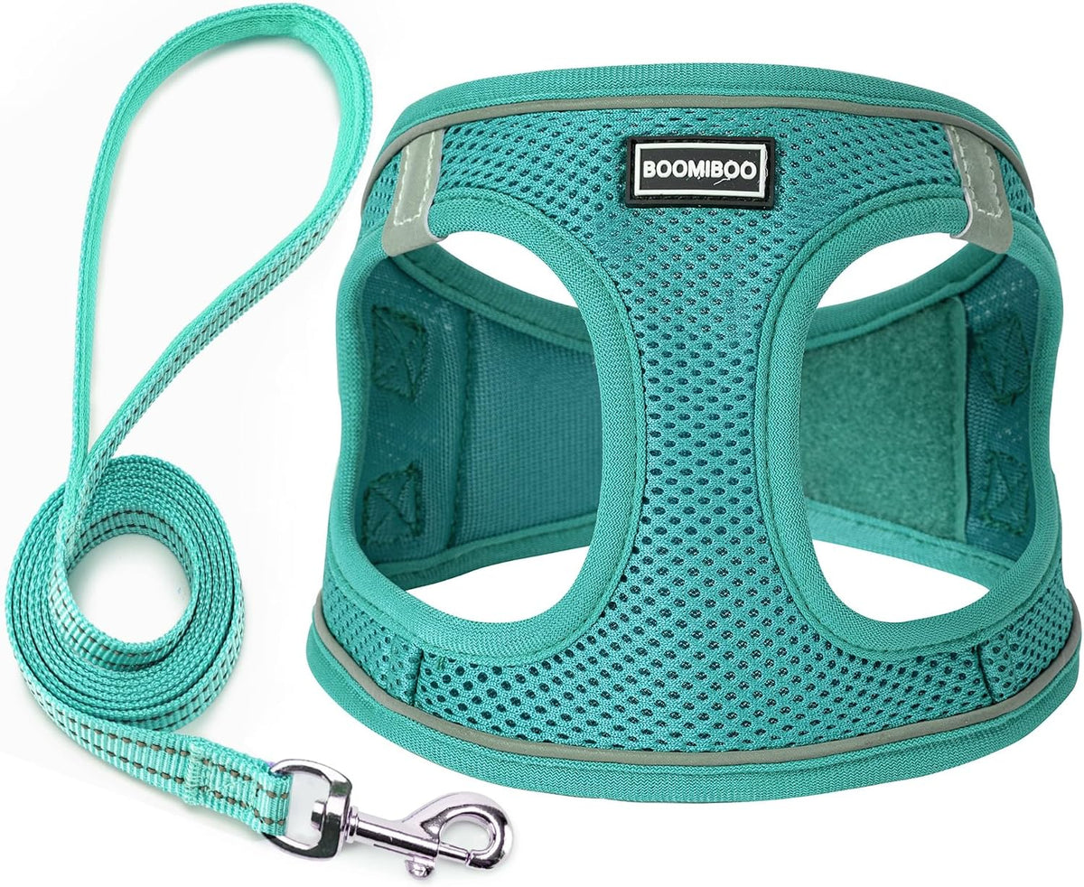 Dog Harness with Leash Set, Step-in Adjustable Puppy Pet Vest - Forest Green / XS(Chest:12"-14")